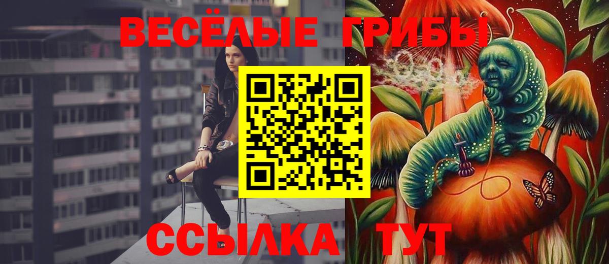 Трёхгорный  Галлюциногенные грибы Psilocybe  Вход с VPN  Псилоцибиновые грибы мицелий 